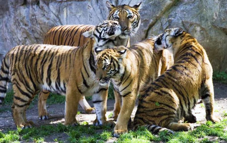 Dharamshala Wildlife Tour Packages | call 9899567825 Avail 50% Off